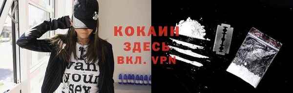 шишки Приозерск