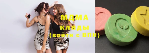 spice Ельня