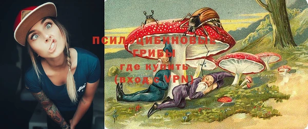 PSILOCYBIN Протвино