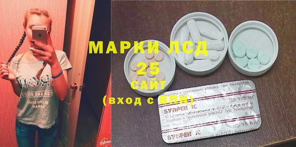 шишки Приозерск