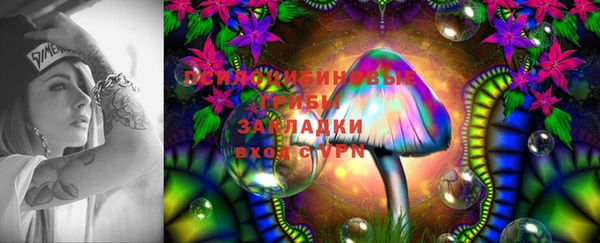 PSILOCYBIN Протвино