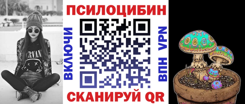 Псилоцибиновые грибы GOLDEN TEACHER ОМГ ОМГ ссылки Будённовск